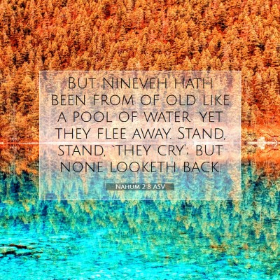 Picture 07 - Nahum 2:8 ASV - But Nineveh hath been from of old like a pool of - Bible Verse Picture