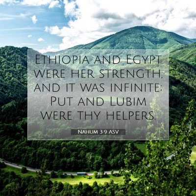 Picture 07 - Nahum 3:9 ASV - Ethiopia and Egypt were her strength, and it was - Bible Verse Picture