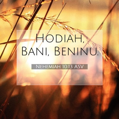 Picture 07 - Nehemiah 10:13 ASV - Hodiah, Bani, - Bible Verse Picture