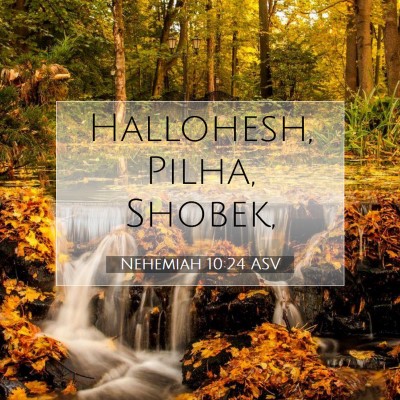 Picture 07 - Nehemiah 10:24 ASV - Hallohesh, Pilha, - Bible Verse Picture