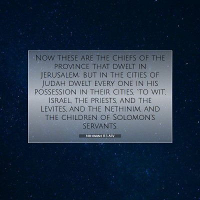 Picture 07 - Nehemiah 11:3 ASV - Now these are the chiefs of the province that - Bible Verse Picture