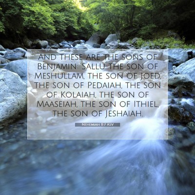 Picture 07 - Nehemiah 11:7 ASV - And these are the sons of Benjamin: Sallu the son - Bible Verse Picture