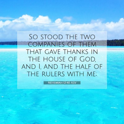 Picture 07 - Nehemiah 12:40 ASV - So stood the two companies of them that gave - Bible Verse Picture