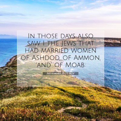 Picture 07 - Nehemiah 13:23 ASV - In those days also saw I the Jews that had - Bible Verse Picture