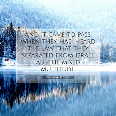 Picture 07 - Nehemiah 13:3 ASV - And it came to pass, when they had heard the law, - Bible Verse Picture