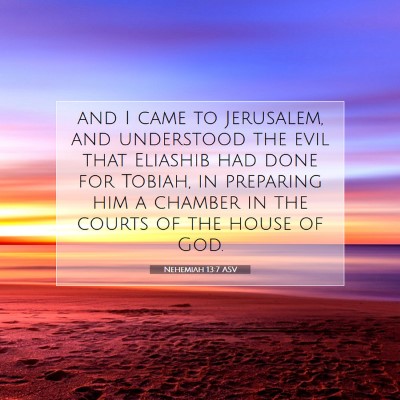 Picture 07 - Nehemiah 13:7 ASV - and I came to Jerusalem, and understood the evil - Bible Verse Picture