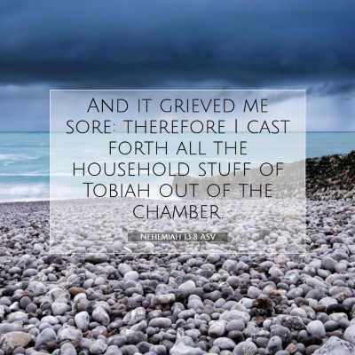 Picture 07 - Nehemiah 13:8 ASV - And it grieved me sore: therefore I cast forth - Bible Verse Picture