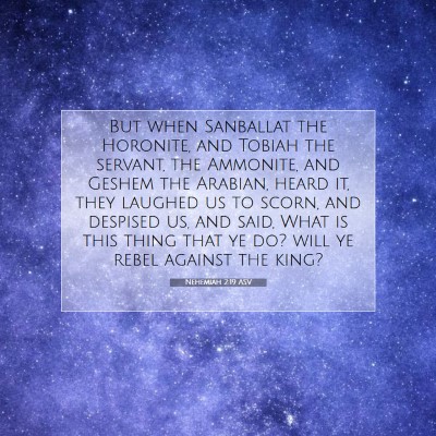 Picture 07 - Nehemiah 2:19 ASV - But when Sanballat the Horonite, and Tobiah the - Bible Verse Picture