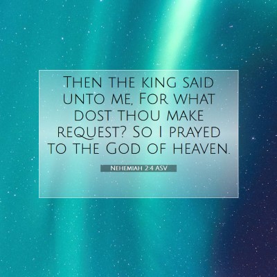 Picture 07 - Nehemiah 2:4 ASV - Then the king said unto me, For what dost thou - Bible Verse Picture