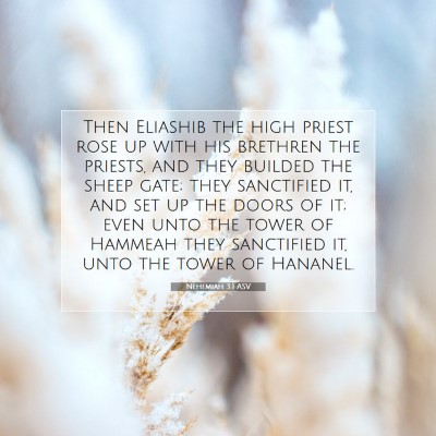 Picture 07 - Nehemiah 3:1 ASV - Then Eliashib the high priest rose up with his - Bible Verse Picture