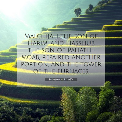 Picture 07 - Nehemiah 3:11 ASV - Malchijah the son of Harim, and Hasshub the son - Bible Verse Picture