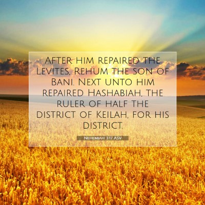 Picture 07 - Nehemiah 3:17 ASV - After him repaired the Levites, Rehum the son of - Bible Verse Picture