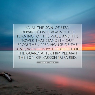 Picture 07 - Nehemiah 3:25 ASV - Palal the son of Uzai `repaired' over against the - Bible Verse Picture