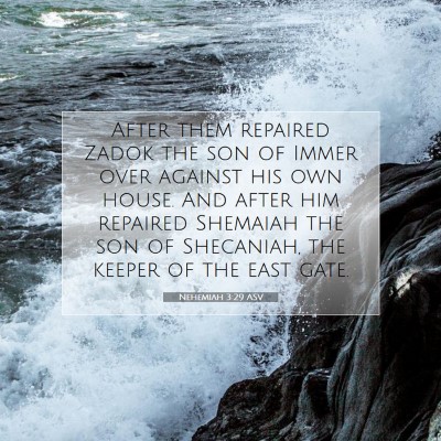 Picture 07 - Nehemiah 3:29 ASV - After them repaired Zadok the son of Immer over - Bible Verse Picture