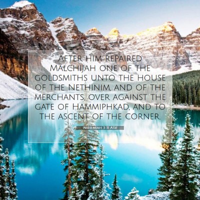 Picture 07 - Nehemiah 3:31 ASV - After him repaired Malchijah one of the - Bible Verse Picture
