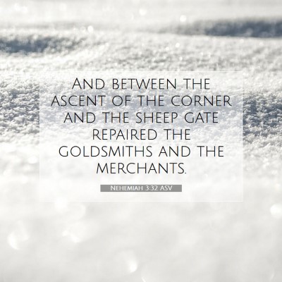 Picture 07 - Nehemiah 3:32 ASV - And between the ascent of the corner and the - Bible Verse Picture