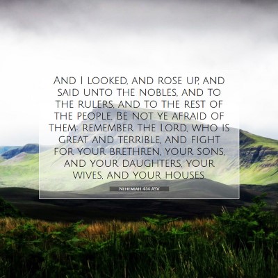 Picture 07 - Nehemiah 4:14 ASV - And I looked, and rose up, and said unto the - Bible Verse Picture