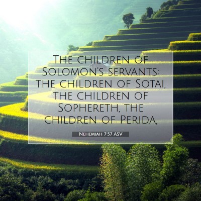 Picture 07 - Nehemiah 7:57 ASV - The children of Solomon's servants: the children - Bible Verse Picture