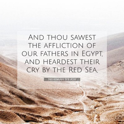 Picture 07 - Nehemiah 9:9 ASV - And thou sawest the affliction of our fathers in - Bible Verse Picture