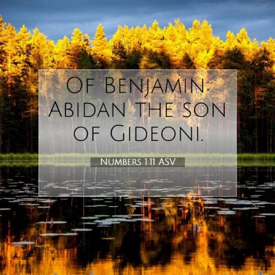 Picture 07 - Numbers 1:11 ASV - Of Benjamin: Abidan the son of - Bible Verse Picture