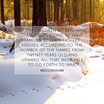 Picture 07 - Numbers 1:36 ASV - Of the children of Benjamin, their generations, - Bible Verse Picture