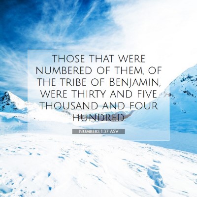 Picture 07 - Numbers 1:37 ASV - those that were numbered of them, of the tribe of - Bible Verse Picture