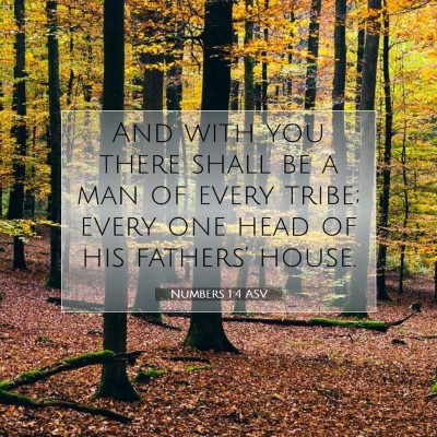 Picture 07 - Numbers 1:4 ASV - And with you there shall be a man of every tribe; - Bible Verse Picture