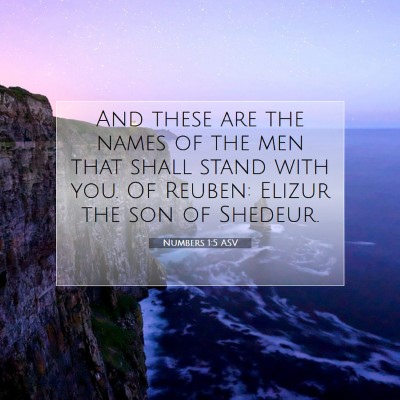 Picture 07 - Numbers 1:5 ASV - And these are the names of the men that shall - Bible Verse Picture