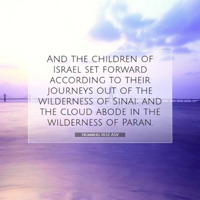 Picture 07 - Numbers 10:12 ASV - And the children of Israel set forward according - Bible Verse Picture
