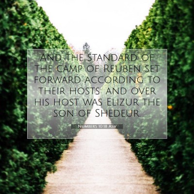 Picture 07 - Numbers 10:18 ASV - And the standard of the camp of Reuben set - Bible Verse Picture