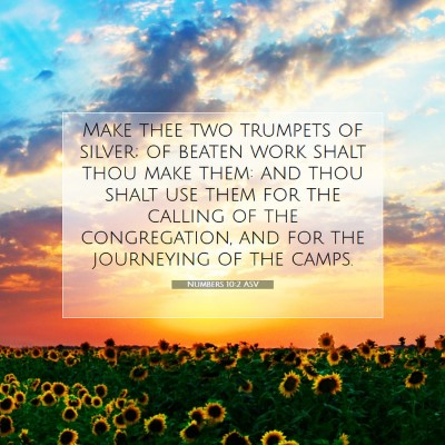 Picture 07 - Numbers 10:2 ASV - Make thee two trumpets of silver; of beaten work - Bible Verse Picture