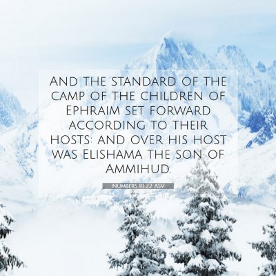 Picture 07 - Numbers 10:22 ASV - And the standard of the camp of the children of - Bible Verse Picture