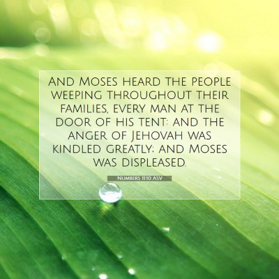 Picture 07 - Numbers 11:10 ASV - And Moses heard the people weeping throughout - Bible Verse Picture
