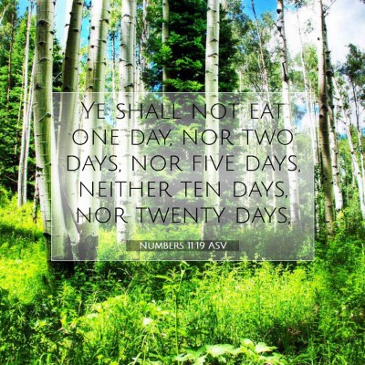 Picture 07 - Numbers 11:19 ASV - Ye shall not eat one day, nor two days, nor five - Bible Verse Picture