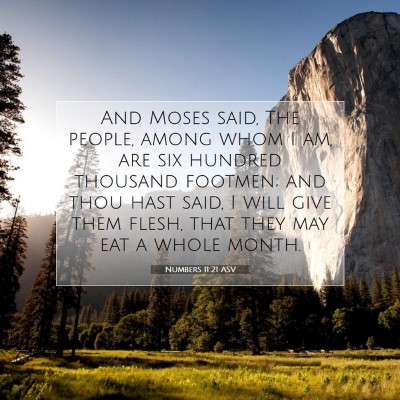 Picture 07 - Numbers 11:21 ASV - And Moses said, The people, among whom I am, are - Bible Verse Picture
