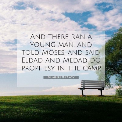 Picture 07 - Numbers 11:27 ASV - And there ran a young man, and told Moses, and - Bible Verse Picture