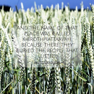 Picture 07 - Numbers 11:34 ASV - And the name of that place was called - Bible Verse Picture