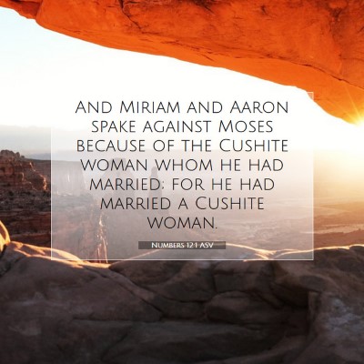 Picture 07 - Numbers 12:1 ASV - And Miriam and Aaron spake against Moses because - Bible Verse Picture