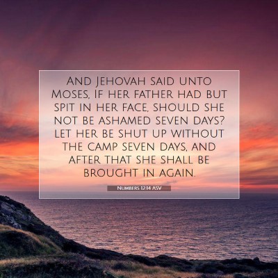 Picture 07 - Numbers 12:14 ASV - And Jehovah said unto Moses, If her father had - Bible Verse Picture