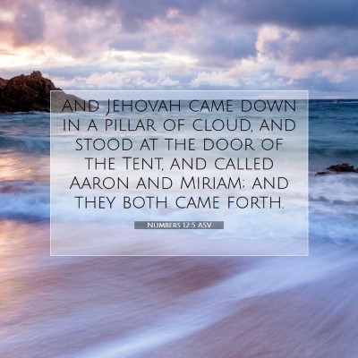 Picture 07 - Numbers 12:5 ASV - And Jehovah came down in a pillar of cloud, and - Bible Verse Picture