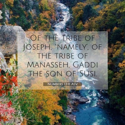Picture 07 - Numbers 13:11 ASV - Of the tribe of Joseph, `namely', of the tribe of - Bible Verse Picture