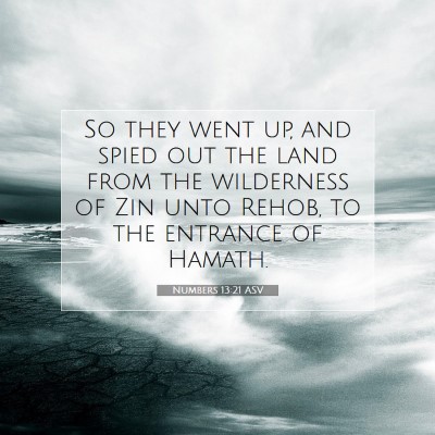 Picture 07 - Numbers 13:21 ASV - So they went up, and spied out the land from the - Bible Verse Picture