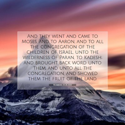 Picture 07 - Numbers 13:26 ASV - And they went and came to Moses, and to Aaron, - Bible Verse Picture