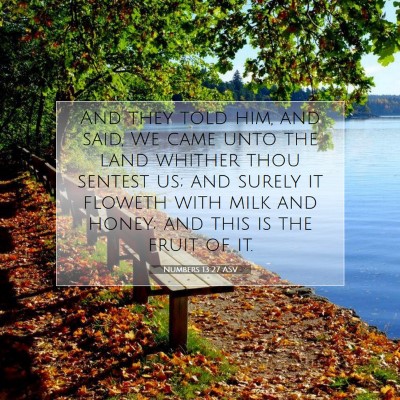 Picture 07 - Numbers 13:27 ASV - And they told him, and said, We came unto the - Bible Verse Picture