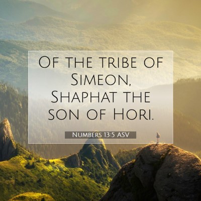 Picture 07 - Numbers 13:5 ASV - Of the tribe of Simeon, Shaphat the son of - Bible Verse Picture