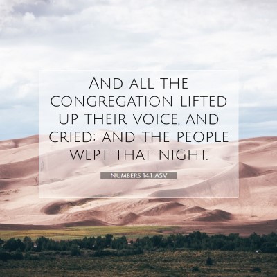 Picture 07 - Numbers 14:1 ASV - And all the congregation lifted up their voice, - Bible Verse Picture