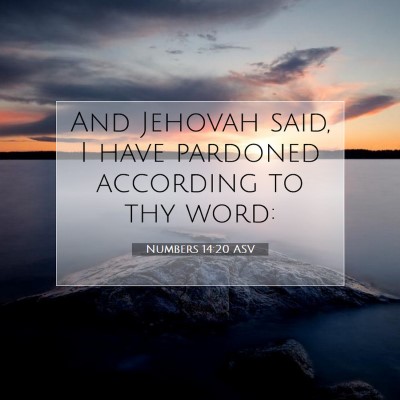 Picture 07 - Numbers 14:20 ASV - And Jehovah said, I have pardoned according to - Bible Verse Picture
