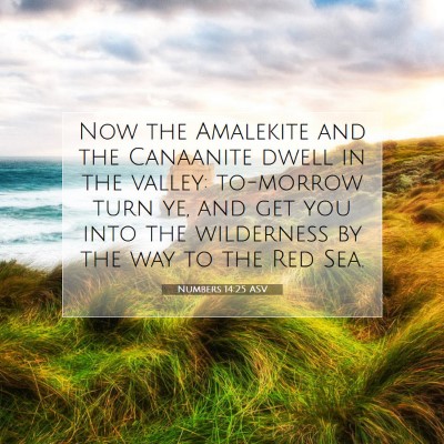 Picture 07 - Numbers 14:25 ASV - Now the Amalekite and the Canaanite dwell in the - Bible Verse Picture