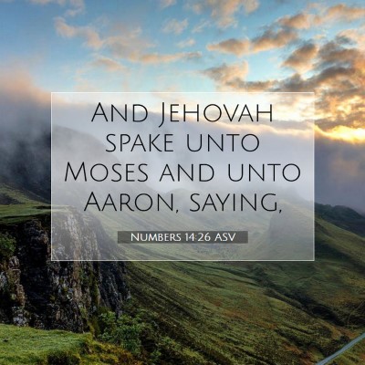 Picture 07 - Numbers 14:26 ASV - And Jehovah spake unto Moses and unto Aaron, - Bible Verse Picture