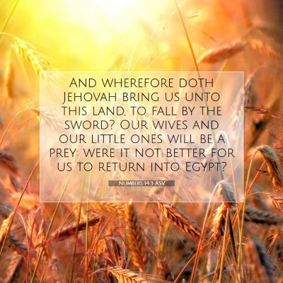 Picture 07 - Numbers 14:3 ASV - And wherefore doth Jehovah bring us unto this - Bible Verse Picture